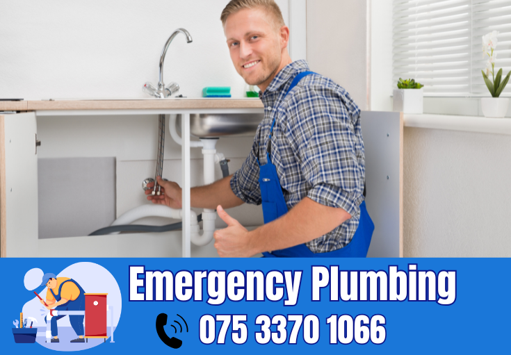  plumber Higham